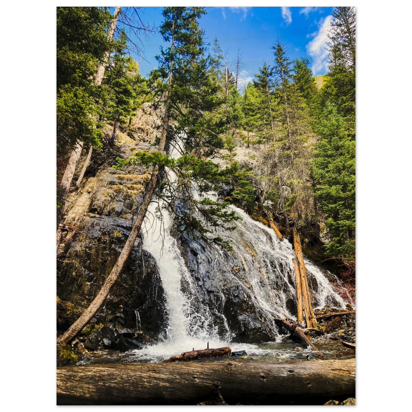 dd302705-6be4-4eba-9dff-1a8796dbc358