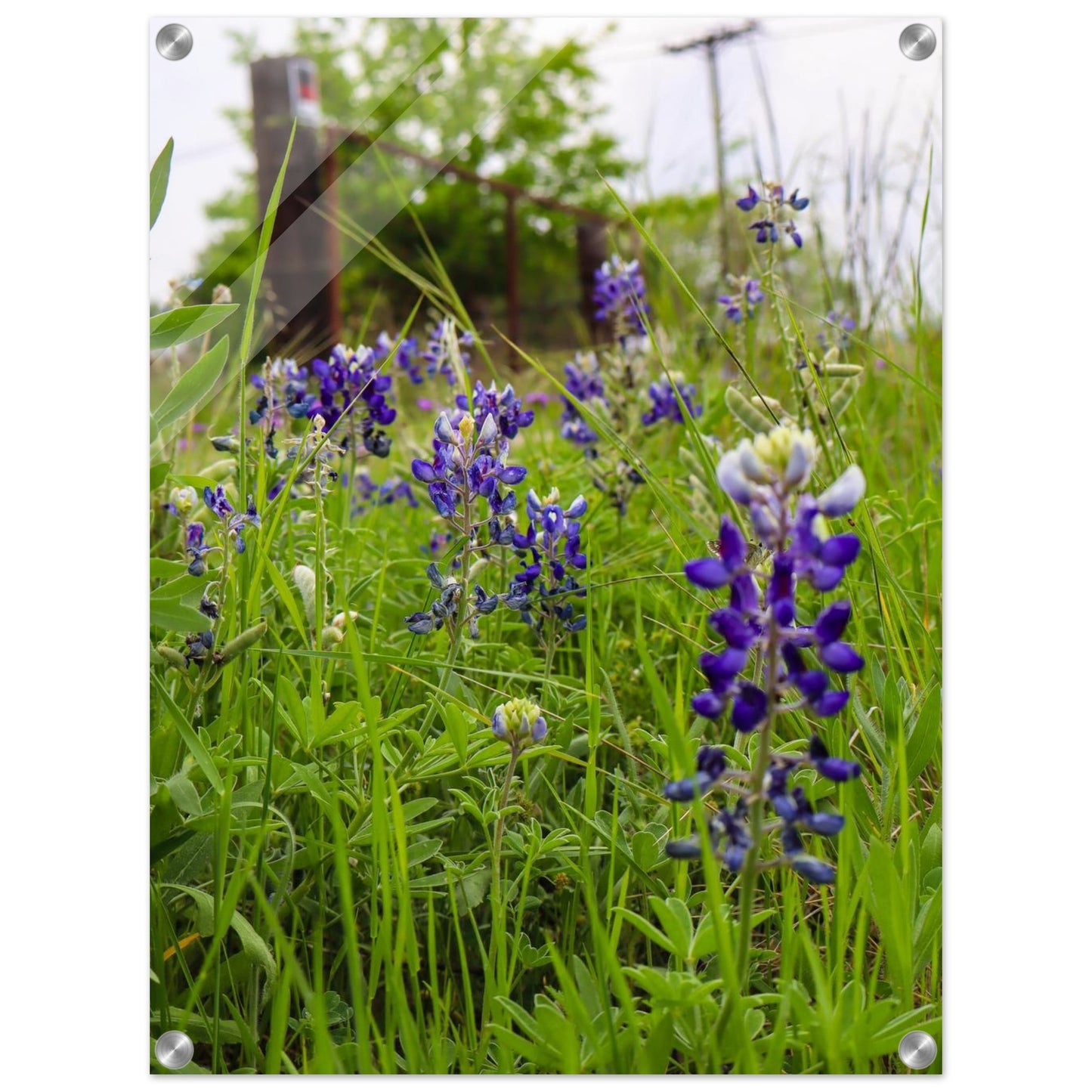 e0bb78e3-a89d-478d-a261-053967d0fb47