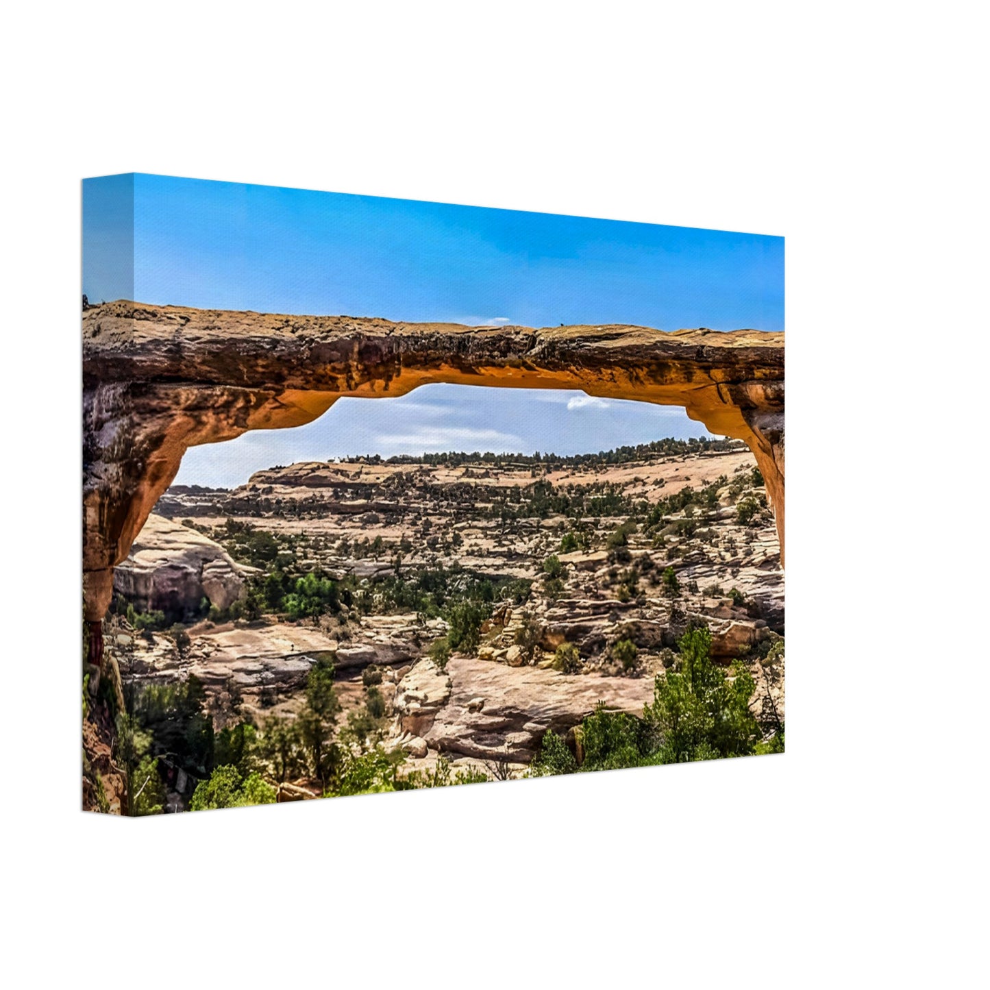 e1a8cce8-26f8-4d8a-be1b-60d6229d1dfe