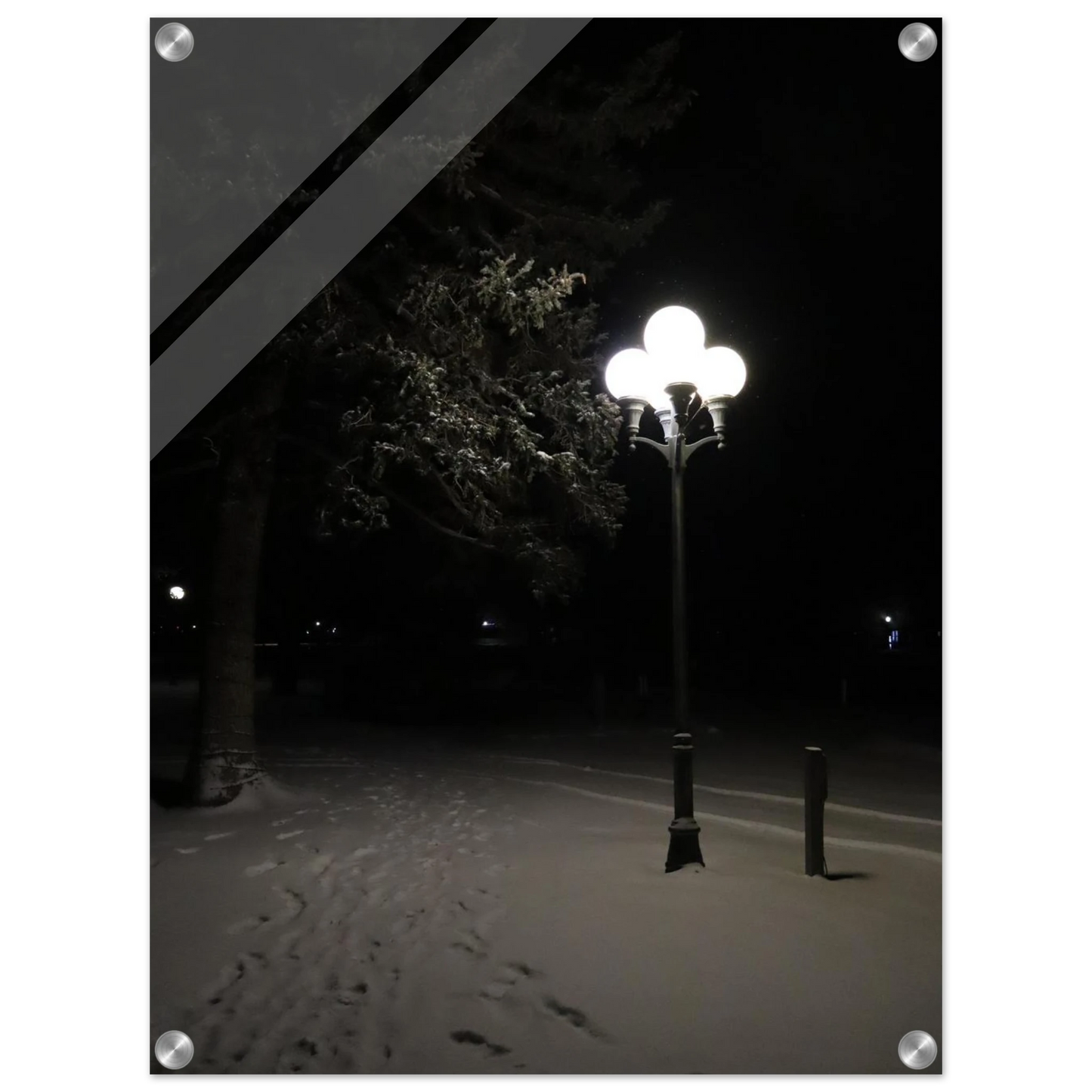 e3cefacc-e9e2-4aaf-b1b7-8744887ef68e