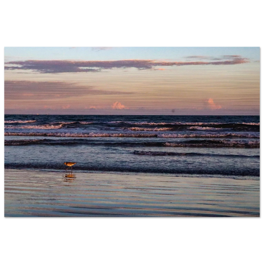 e560b051-f7ef-4b6c-977e-ee494b27e204