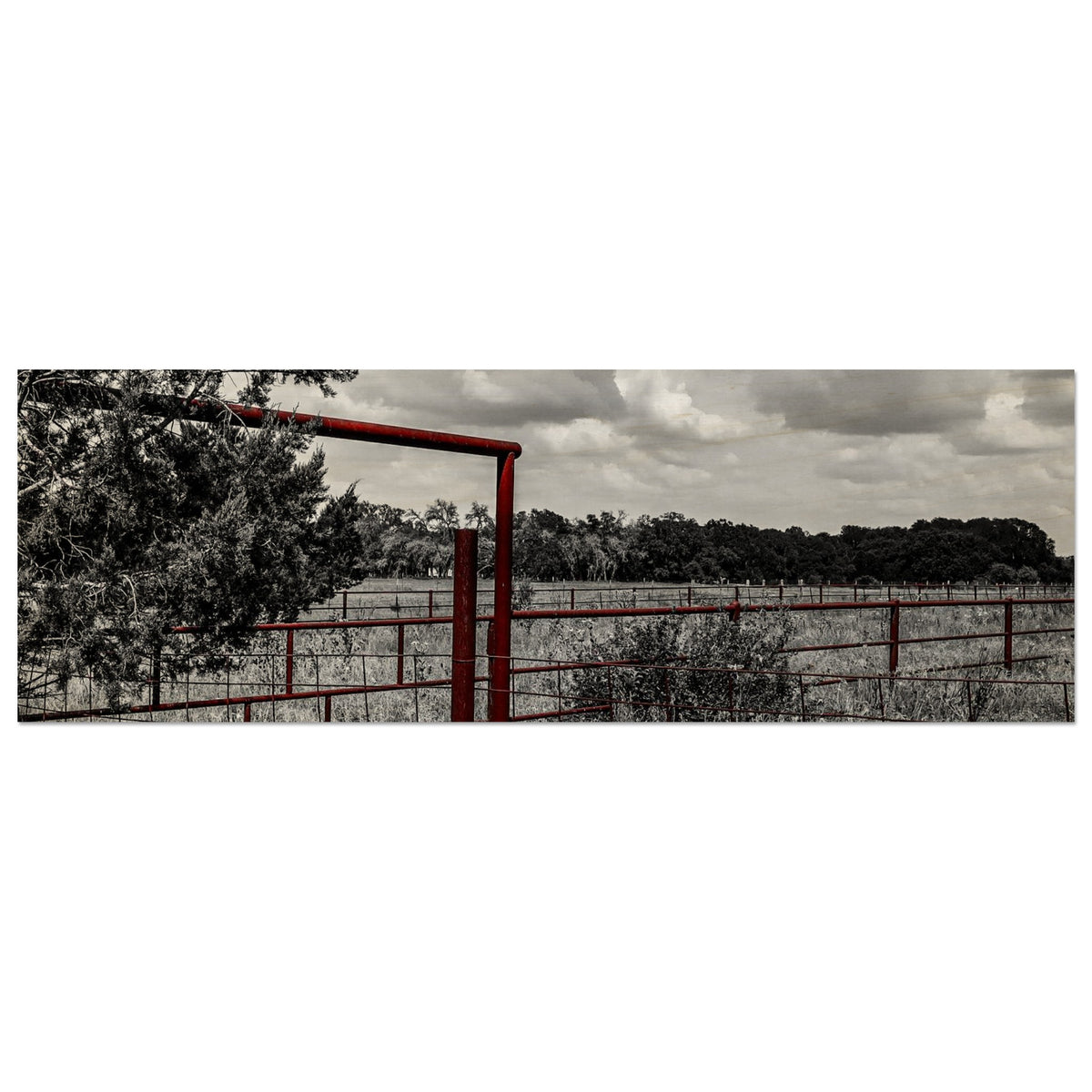 e7c476d1-6414-4ef5-a724-33b958903d8d