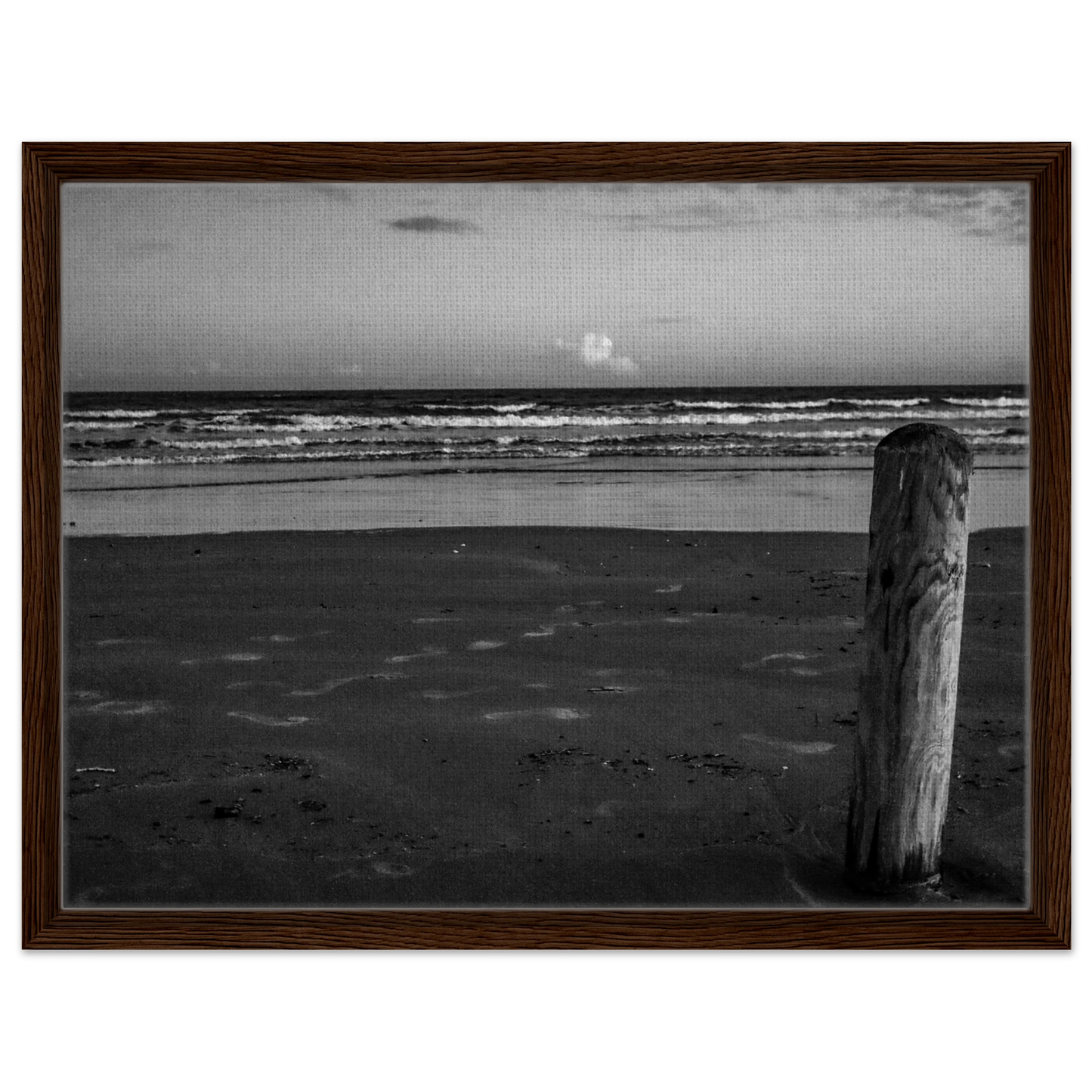 ebbf3731-8830-40ef-9cae-f1d488a16e54