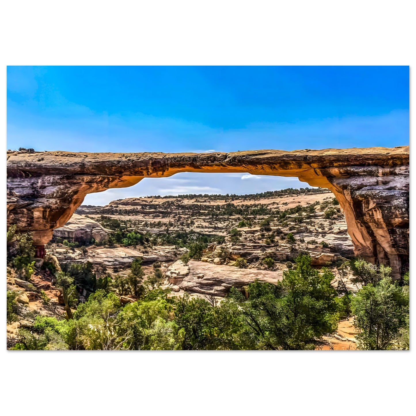 edb42757-a328-4e97-a9eb-5f840c231179