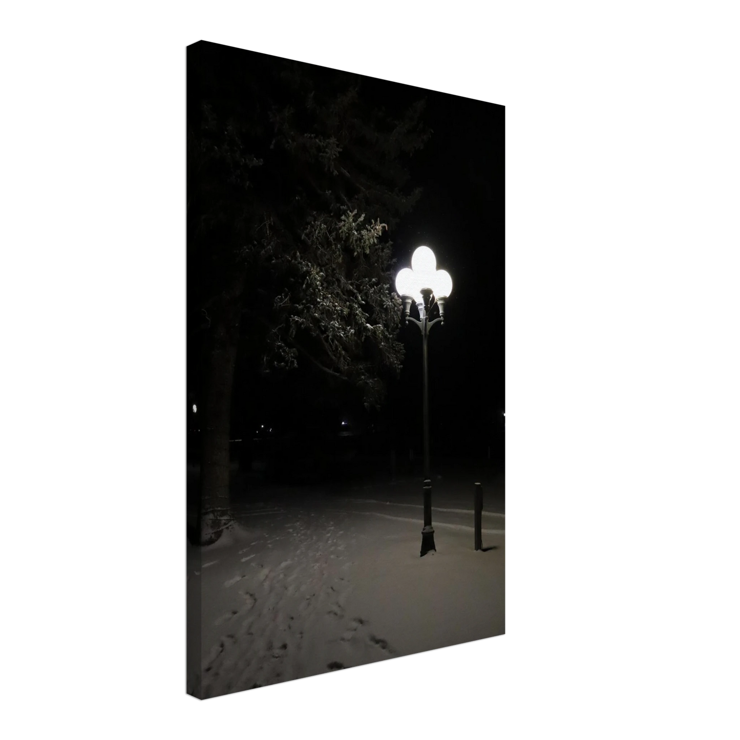 f254706d-ad2a-4aaa-a884-c86892bd61cf