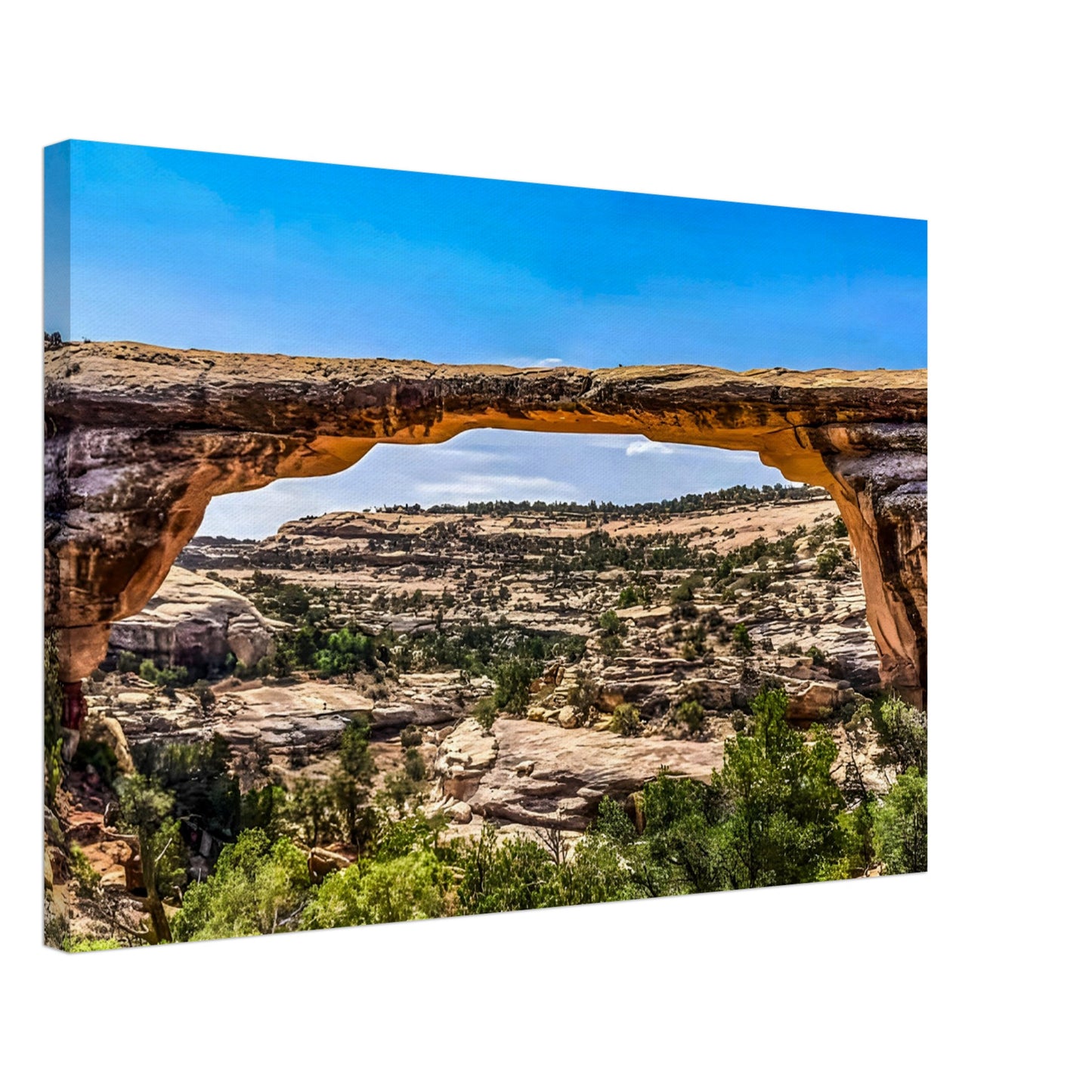 f62c3a3b-fea4-4241-b2ec-4c98c0a43d3a