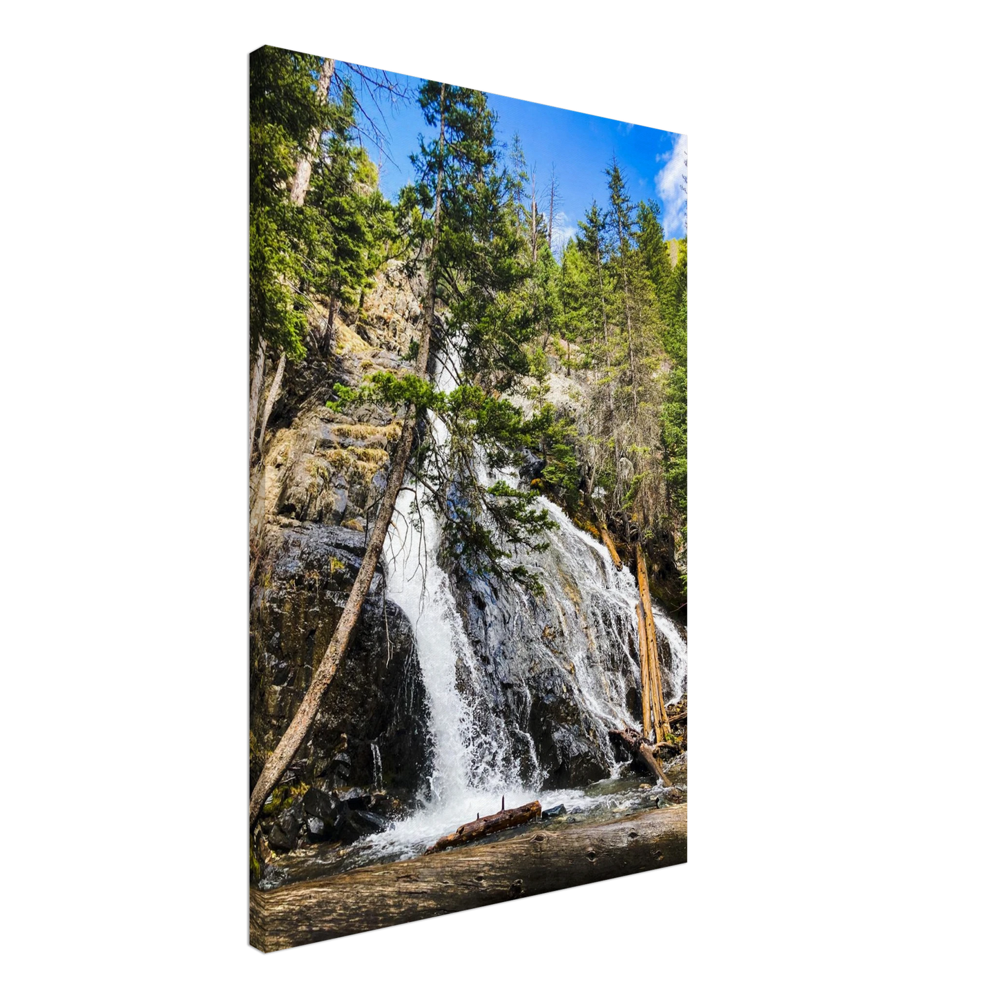 f83b3a67-0131-4649-a9e7-25234e106e79