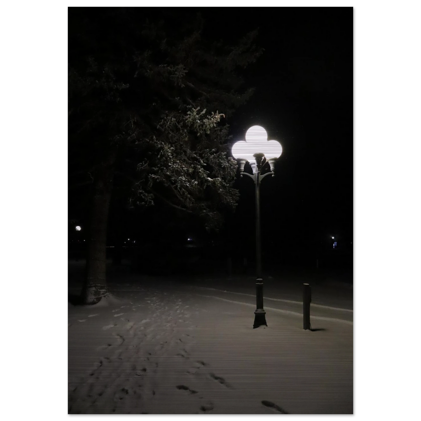 f9d2ec89-eff7-4194-ae01-abe8ff9dc185