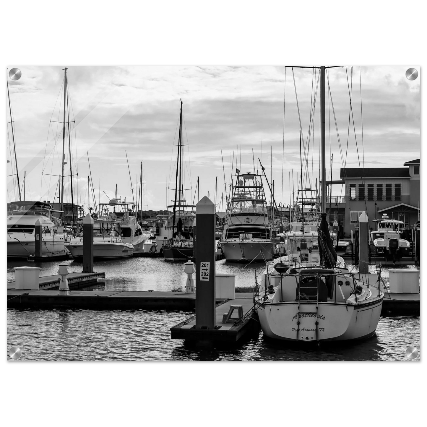 fa9f9d40-cf25-472a-8185-f8a75c2eed98