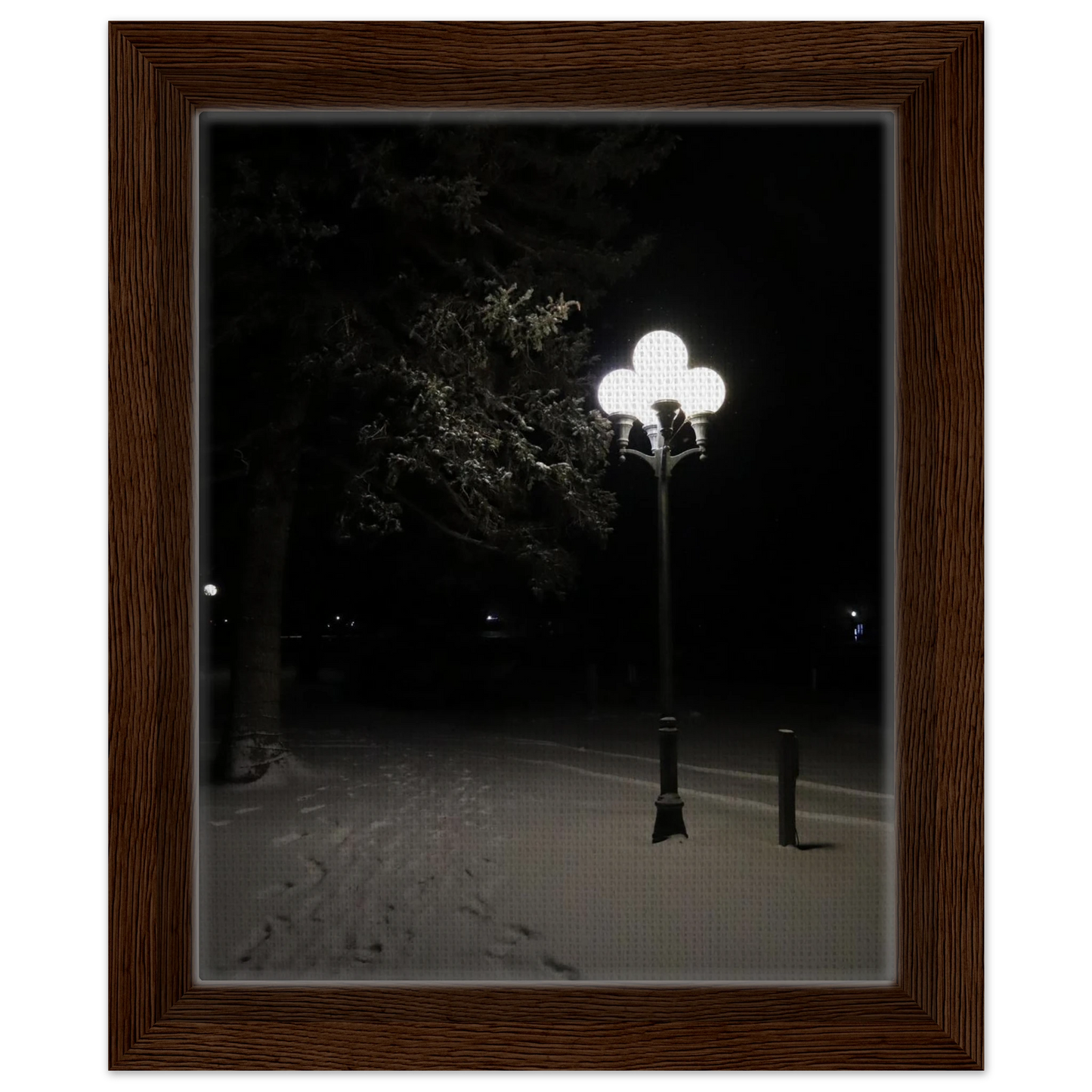 fe8dd804-85bb-4c68-9581-af8128b22359