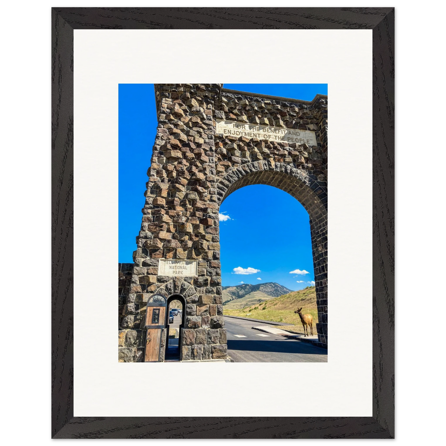 ff12a786-abef-4583-a0f8-2dc3efb4c0d9