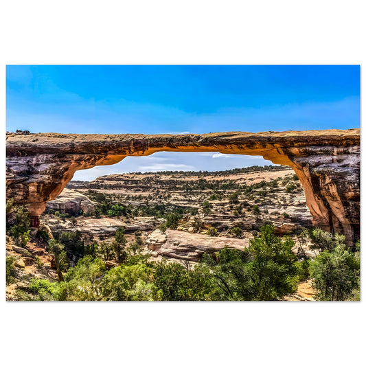 ff15009a-b5d8-40fd-93d7-acfe84a71fe8