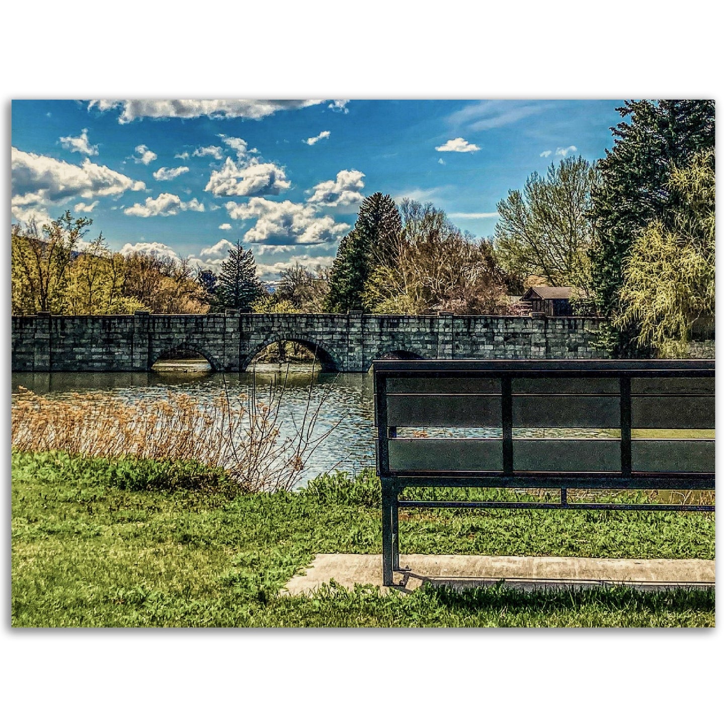 Sacagawea Park; Livingston, Montana I Wood Print